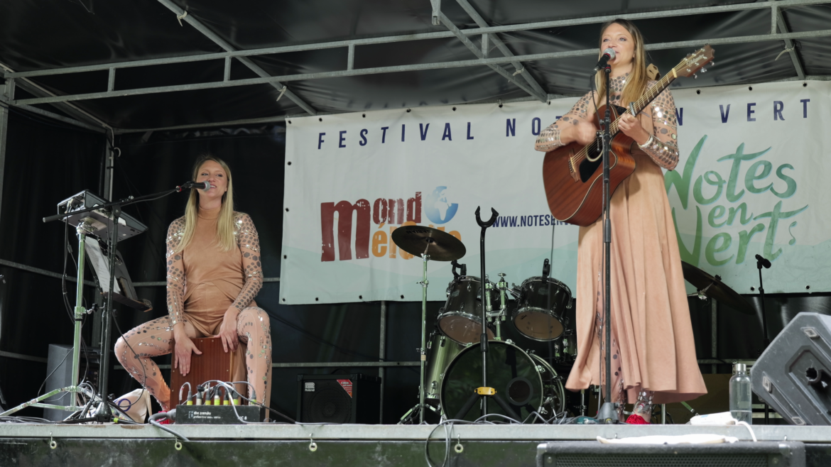 Who is Who Notes en vert