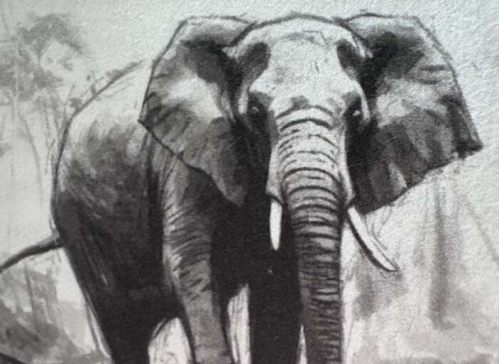 Le voyage de l'éléphant solitaire