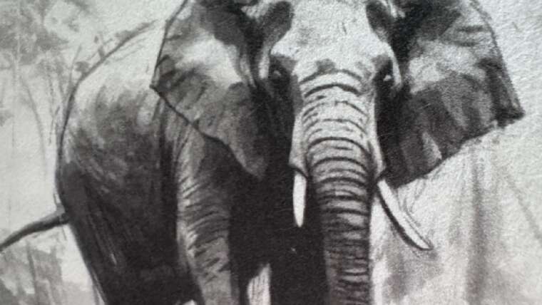 Le voyage de l'éléphant solitaire