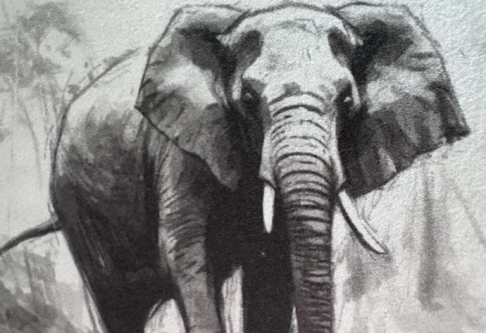 Le voyage de l'éléphant solitaire