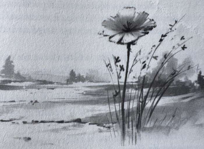 La fleur dans le gel