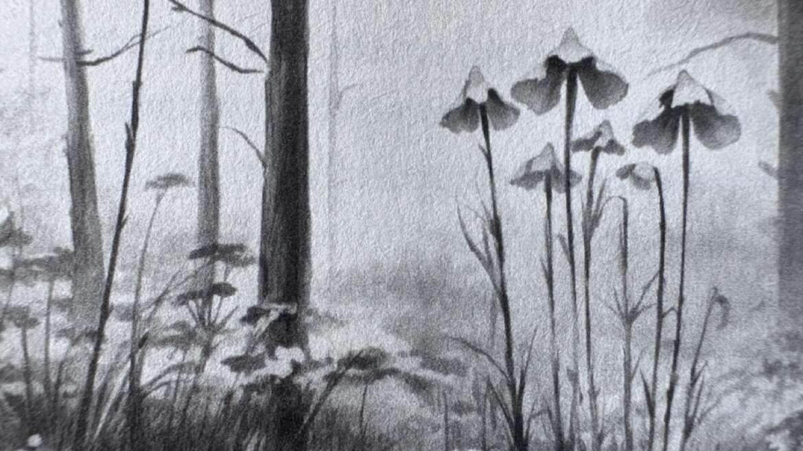 Le Singe et la Fleur de Lotus » de Jinpa Sherab aux éditions Pistonary