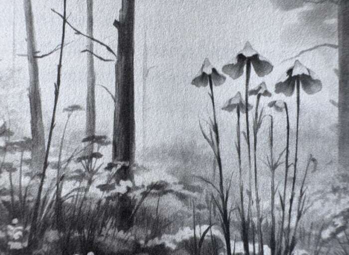 Le Singe et la Fleur de Lotus » de Jinpa Sherab aux éditions Pistonary