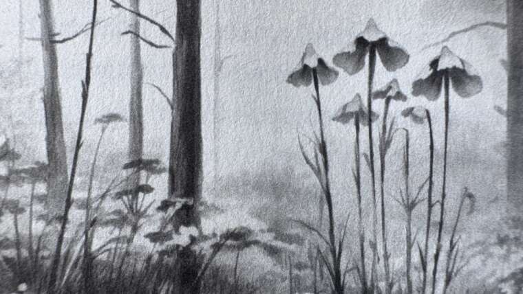 Le Singe et la Fleur de Lotus » de Jinpa Sherab aux éditions Pistonary