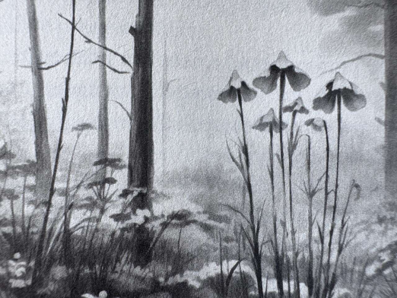 Le Singe et la Fleur de Lotus » de Jinpa Sherab aux éditions Pistonary