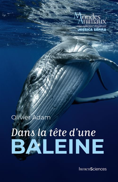 Rencontre avec Olivier Adam, bio-acousticien